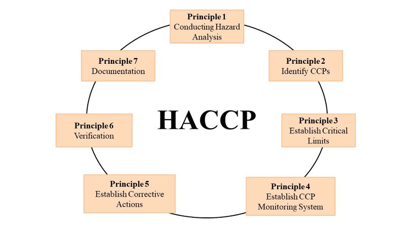 HACCP trong an toàn thực phẩm