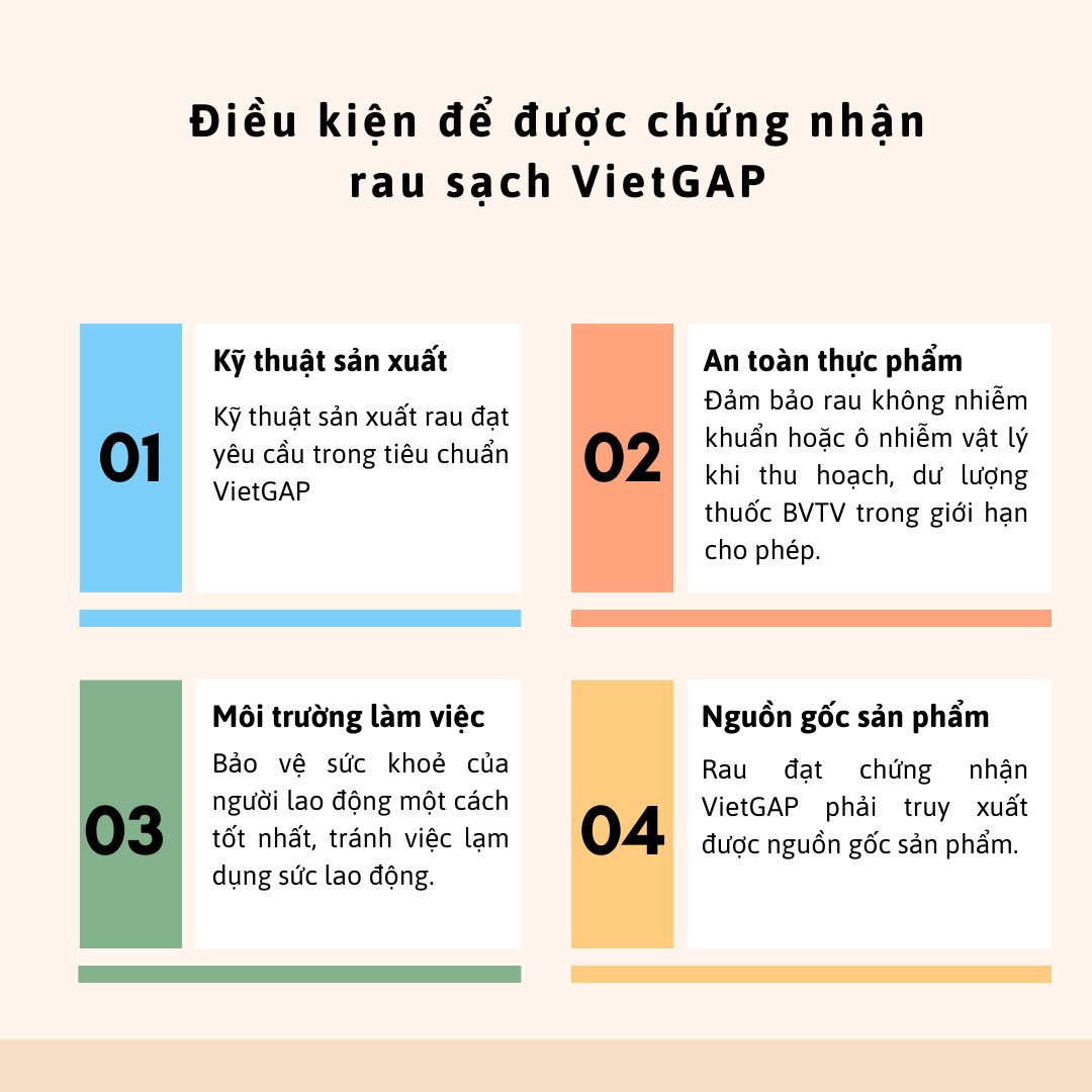 Điều kiện để được chứng nhận rau sạch VietGAP